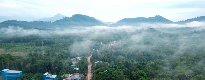The village forest of Laman Satong: for money and more
