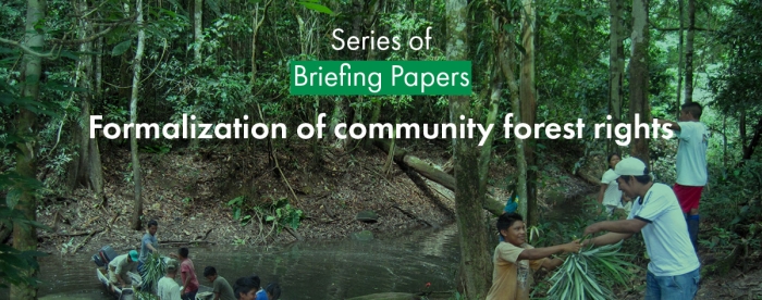 Tropenbos International launches briefing papers on the formalization of community forest rights