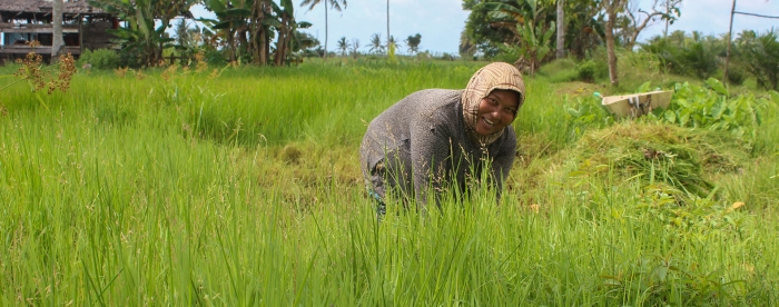 Social Forestry Business Unit: strengthening people’s economy in Indonesia