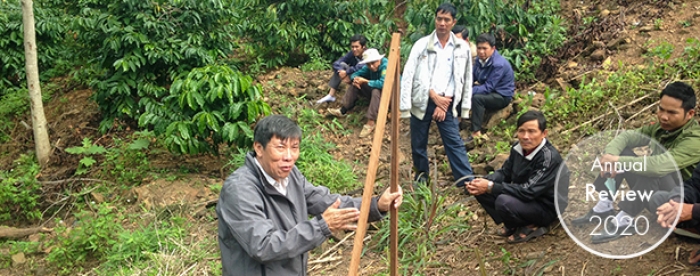 Indigenous trees for rural beautification in Viet Nam 