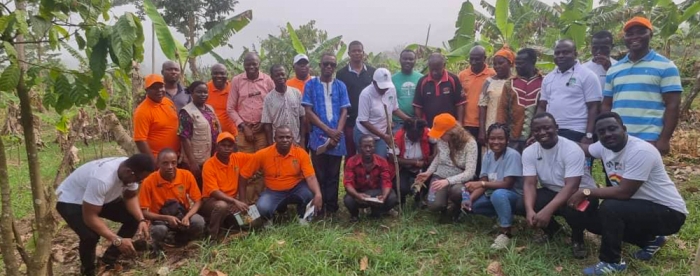 Learning about cocoa: exchange between Ghana and DRC