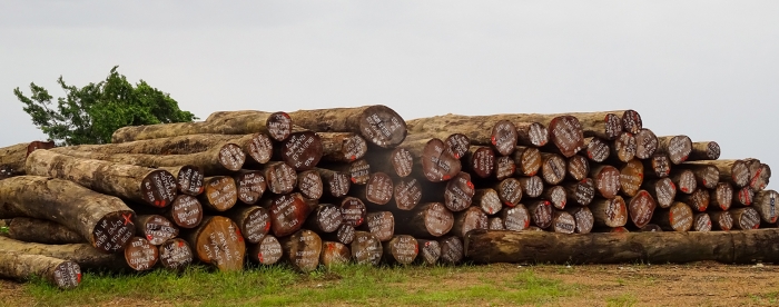 SUB: Round wood in Liberia